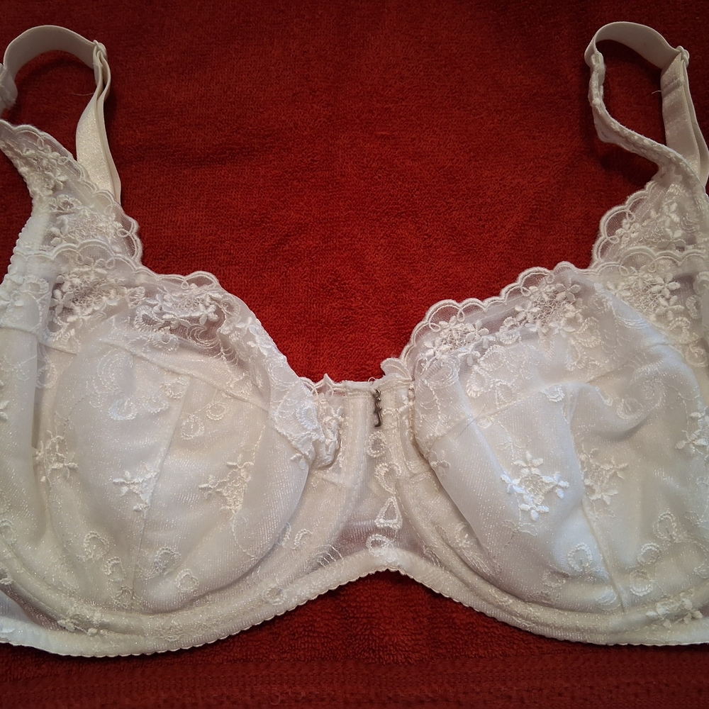 Delicate Floral Lace Bra in Cream